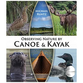 Observing Nature By Canoe & Kayak